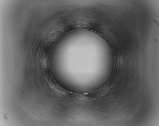 X0000103491250200809191914