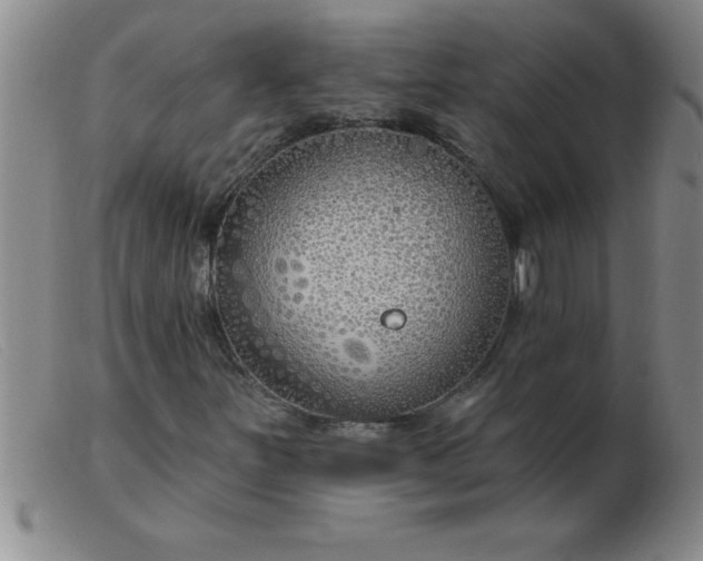 X0000103491251200809191914