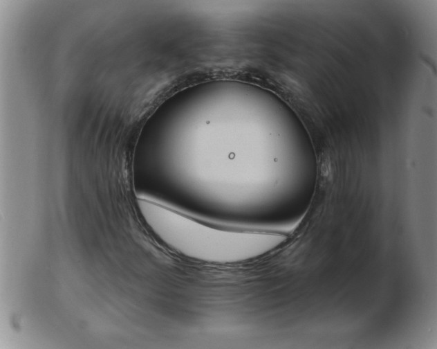 X0000103491252200809191914