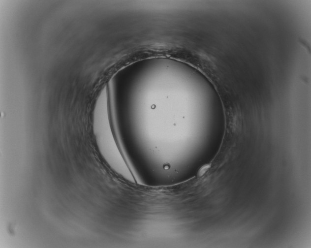 X0000103491253200809191914