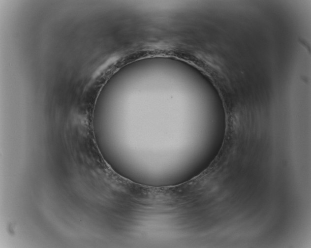 X0000103491254200809191914