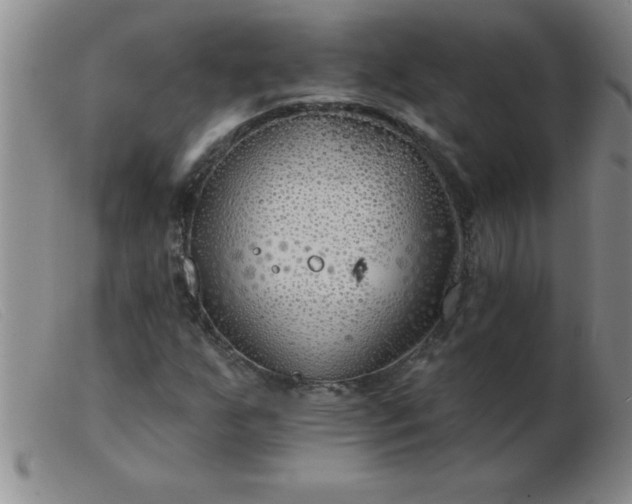 X0000103491255200809191914