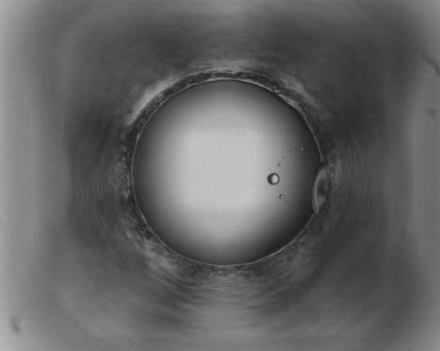 X0000103491256200809191914