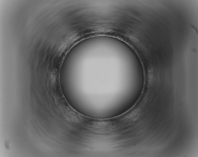 X0000103491257200809191914