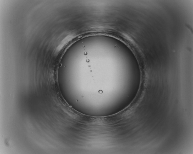 X0000103491259200809191914