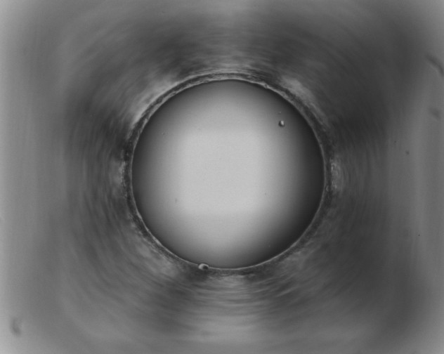 X0000103491260200809191914