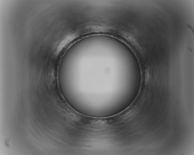 X0000103491261200809191914