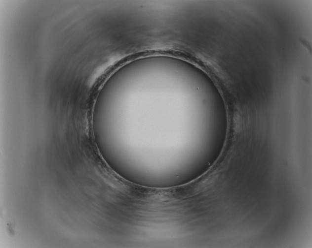 X0000103491262200809191914