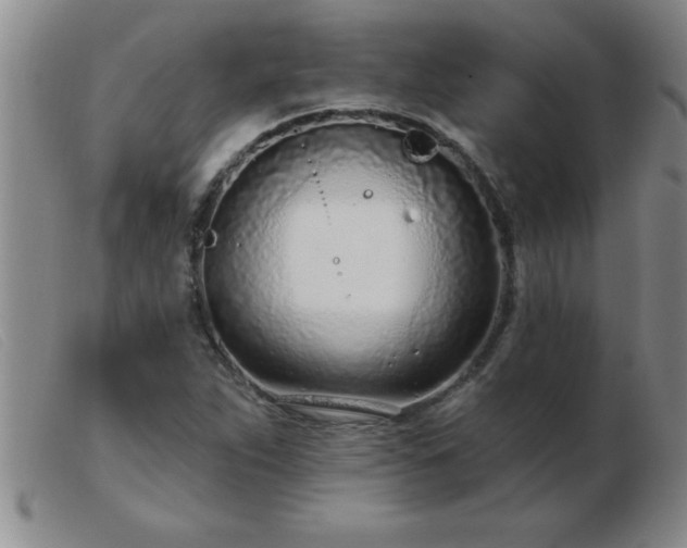 X0000103491263200809191914