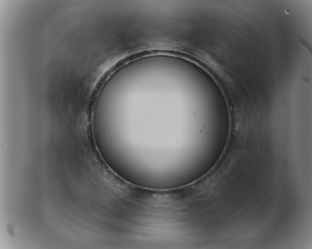 X0000103491264200809191914