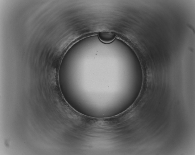 X0000103491265200809191914