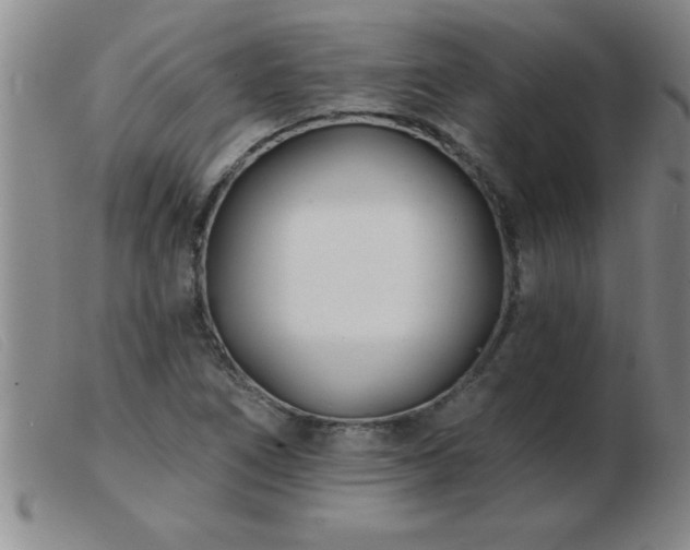 X0000103491266200809191914