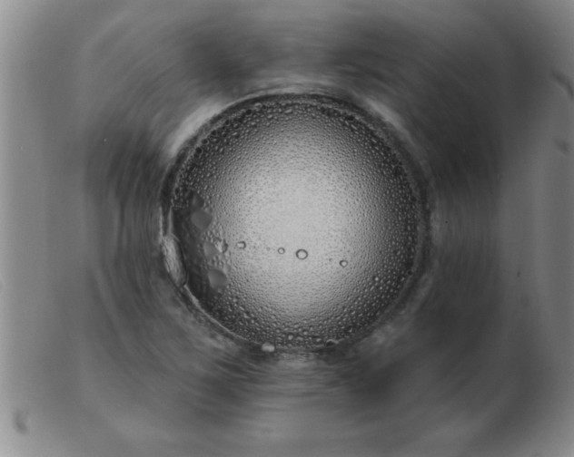 X0000103491267200809191914