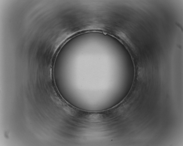 X0000103491268200809191914