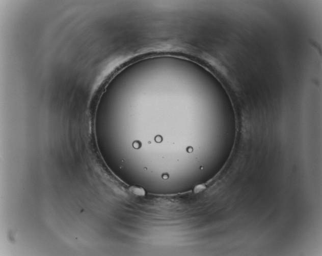 X0000103491270200809191914