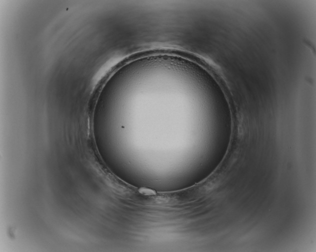 X0000103491271200809191914