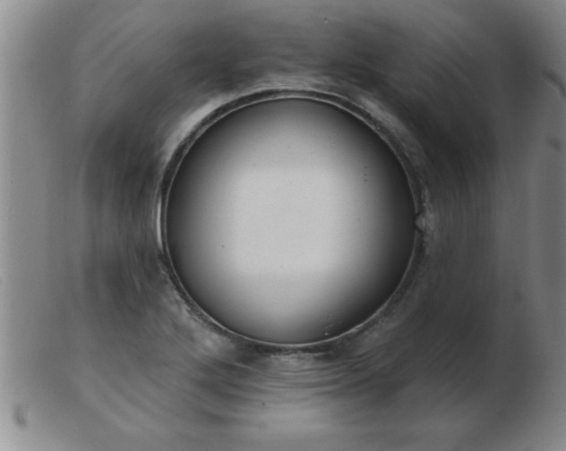 X0000103491272200809191914