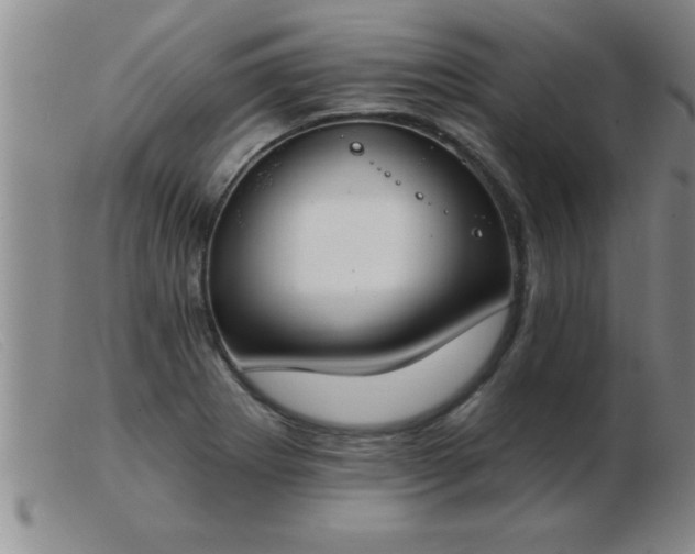 X0000103491273200809191914