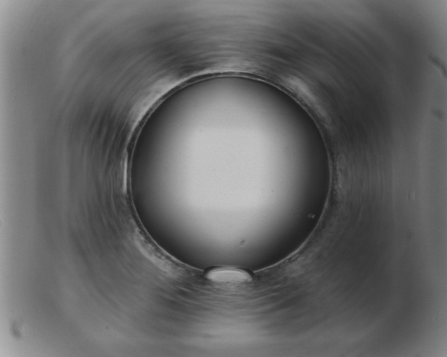 X0000103491276200809191914