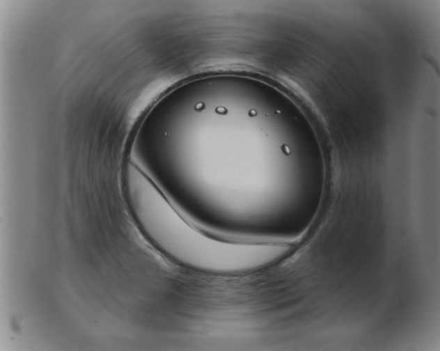 X0000103491277200809191914