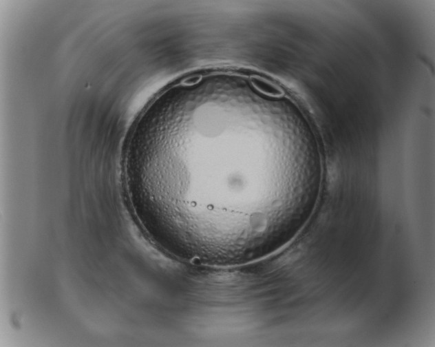 X0000103491279200809191914