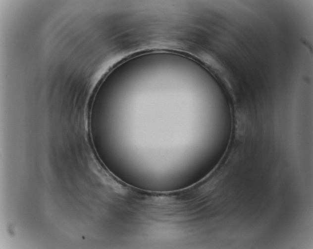 X0000103491280200809191914