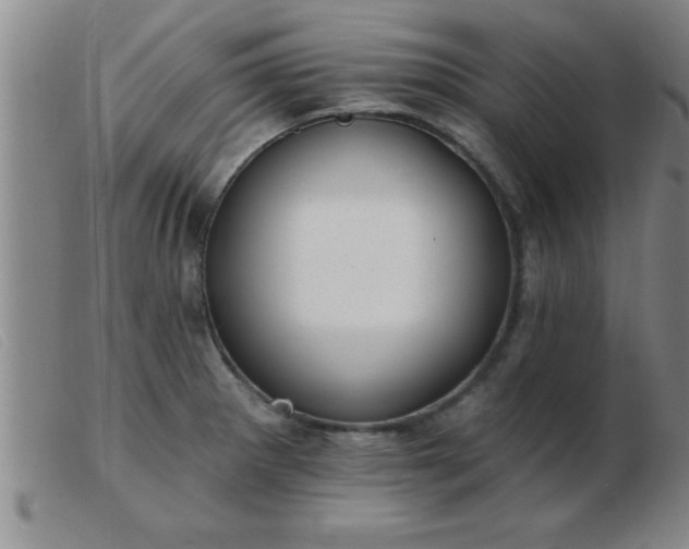 X0000103491281200809191914