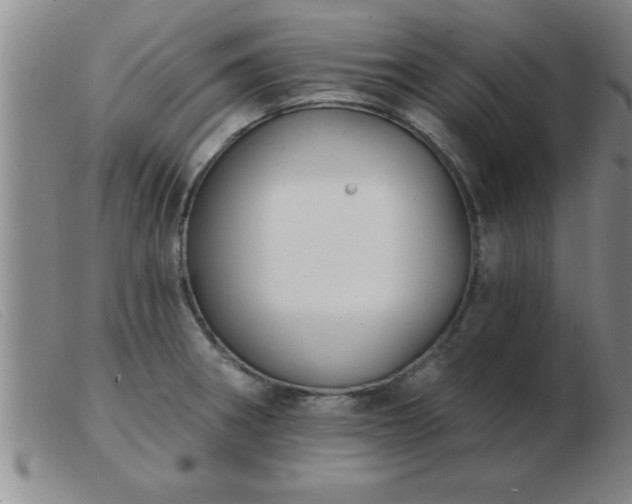 X0000103491282200809191914