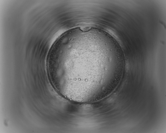 X0000103491283200809191914