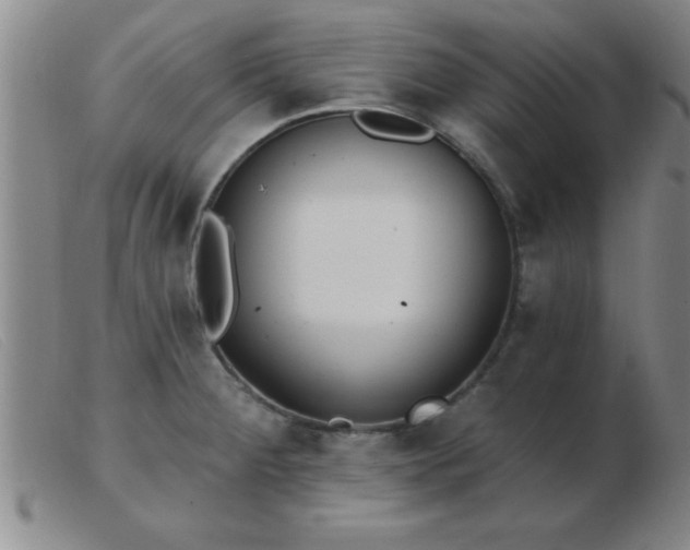 X0000103491284200809191913