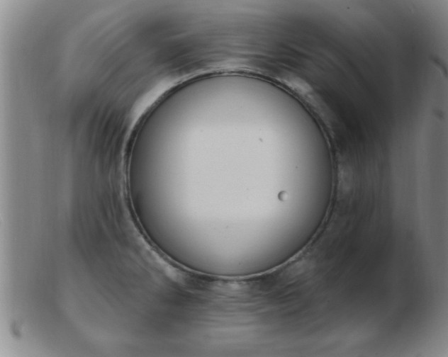 X0000103491286200809191913