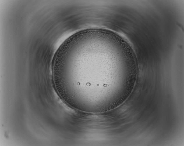 X0000103491287200809191913