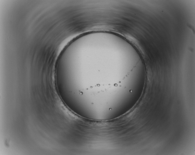 X0000103491288200809191913