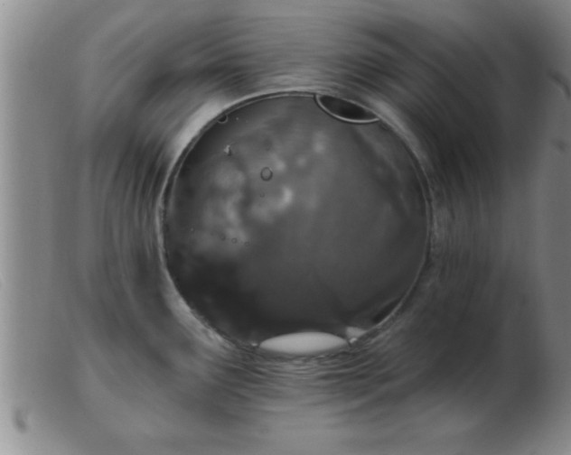 X0000103491291200809191913