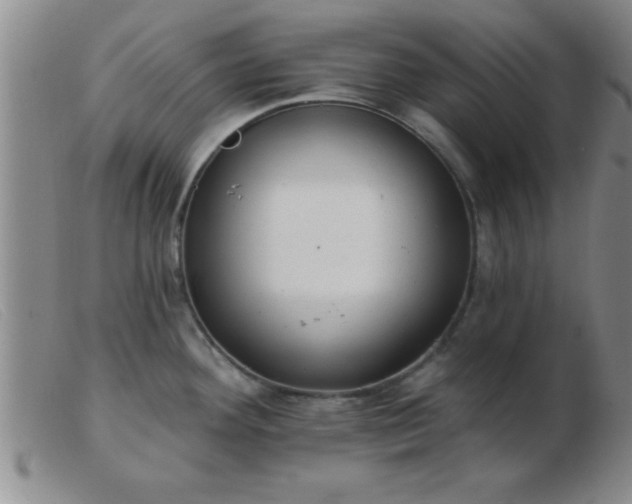 X0000103491292200809191913