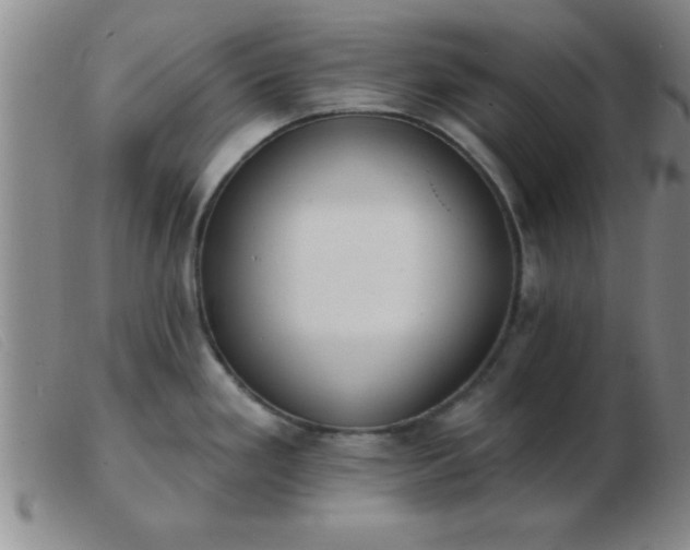 X0000103491293200809191913