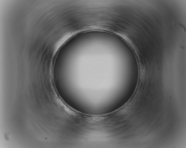 X0000103491294200809191913