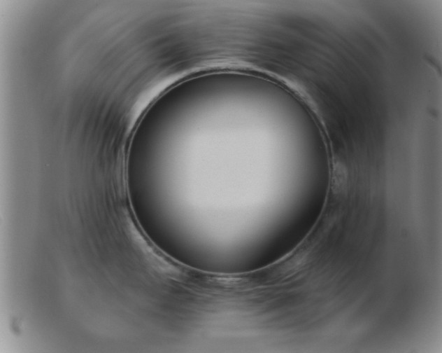 X0000103491295200809191913