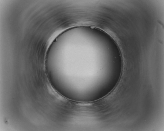 X0000103491296200809191913