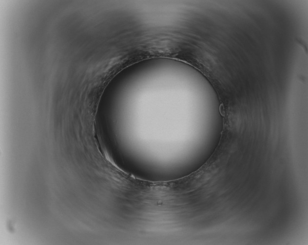 X0000103491297200809191913