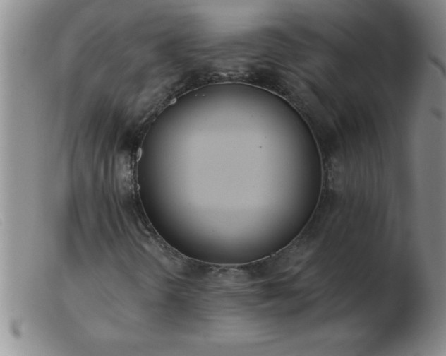 X0000103491298200809191913