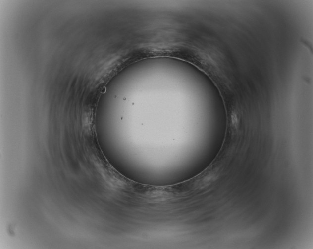 X0000103491300200809191913