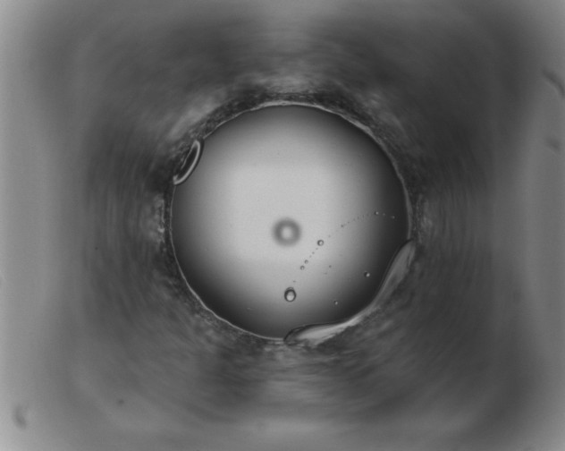 X0000103491301200809191913