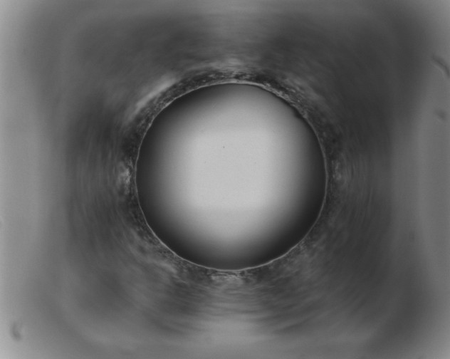 X0000103491302200809191913