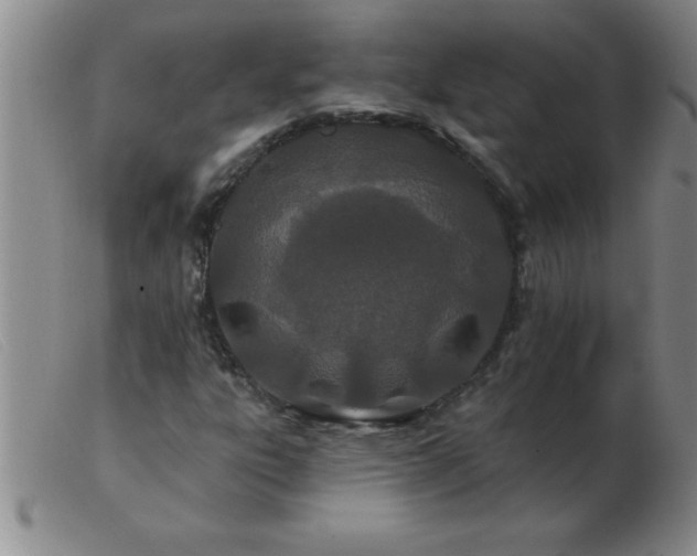 X0000103491303200809191913