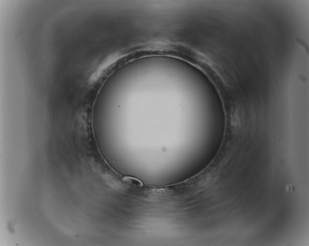 X0000103491304200809191913