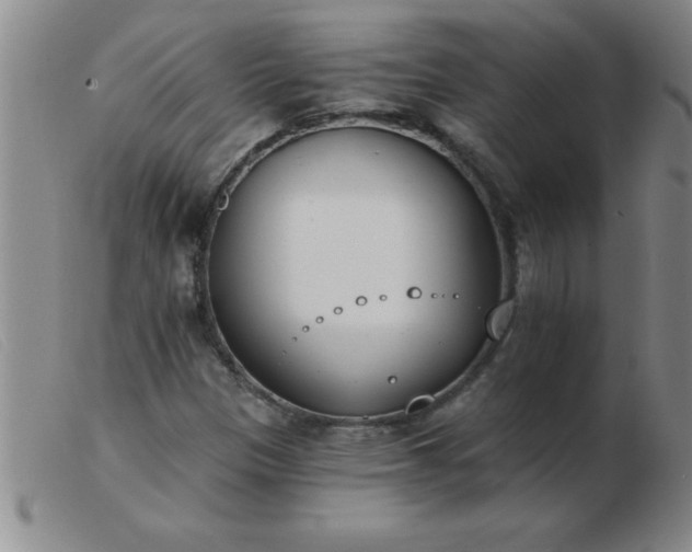 X0000103491305200809191913