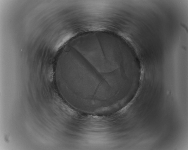 X0000103491306200809191913