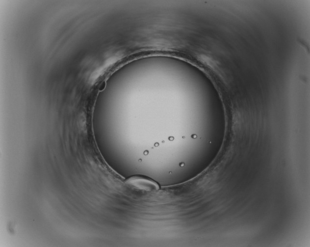 X0000103491307200809191913