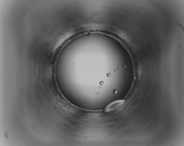 X0000103491309200809191913